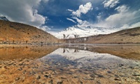 Ghazar 14 Pakistan